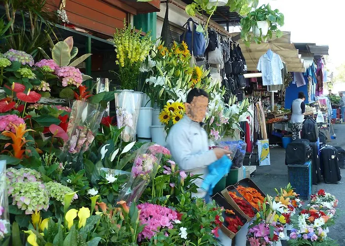 Stesi Vacanze * Řím